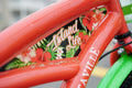 24" Island Life Multi Speed Girl'S Bike, Coral/Green
