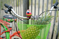24" Island Life Multi Speed Girl'S Bike, Coral/Green
