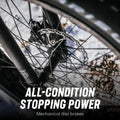 26 - In. Dolomite ALX Unisex Fat Tire Mountain Bike, Gray