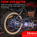 Hidoes B10 Electric Mountain Bike for Men/Woman 1000W Adult Electric Bicycle 20" Fat Tire Off Road E - Bike with Removable Battery up to 28 Mph, Free Shipping, Red
