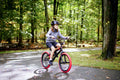 20" Dread Boy'S BMX Bike, Black/Red